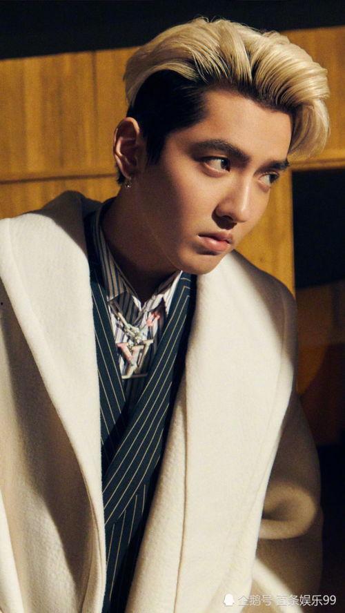 娱乐圈爆料聂欢,真相与谣言的交织