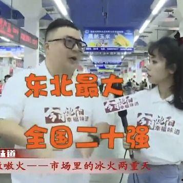 沈阳今日爆料新闻直播,聚焦城市热点事件追踪